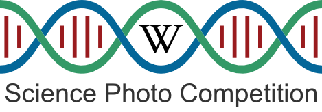 Logo_for_e-Science_Photo_Competition_v3